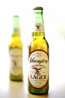 Yuengling Lager 6 Pack Nr